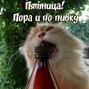 ���� �������, ��������� - ��������� 27 ������� 2021 � ������ ������ ��������