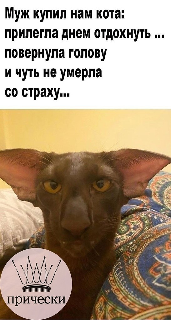 ,    .