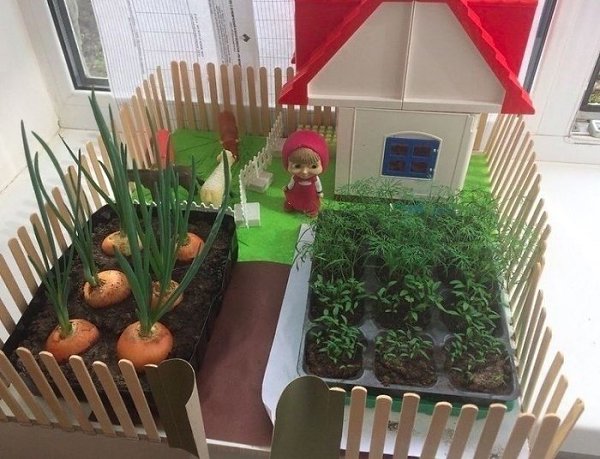 Очень интересное занятие для детей: выращиваем зелень на подоконнике - 3