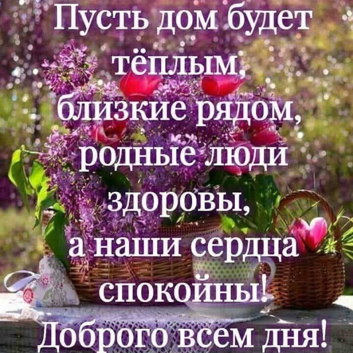  ,    . - 13  2021  12:28 - 2