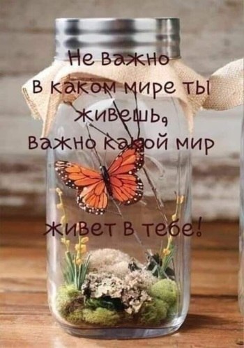   ! - 13  2021  06:51