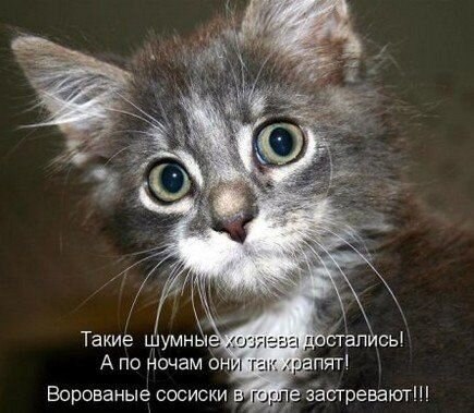    - 23  2021  08:13