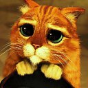 ���� ������, �������, 34 ���� - ��������� 10 ��� 2021 � ������ ���� ����������