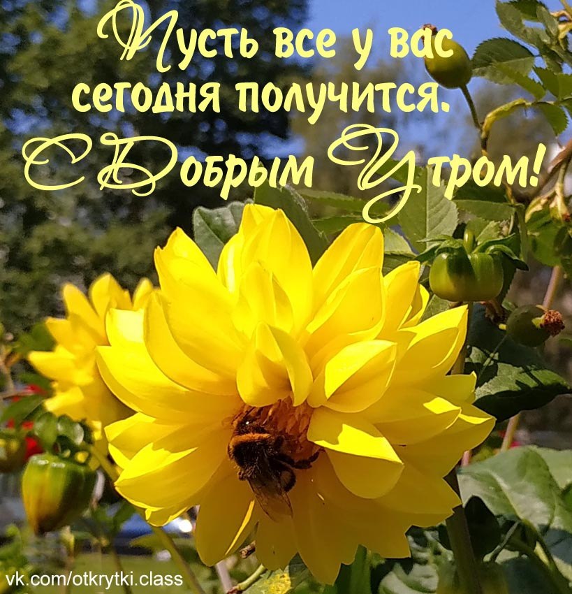   ,    . - 9  2021  01:06 - 10