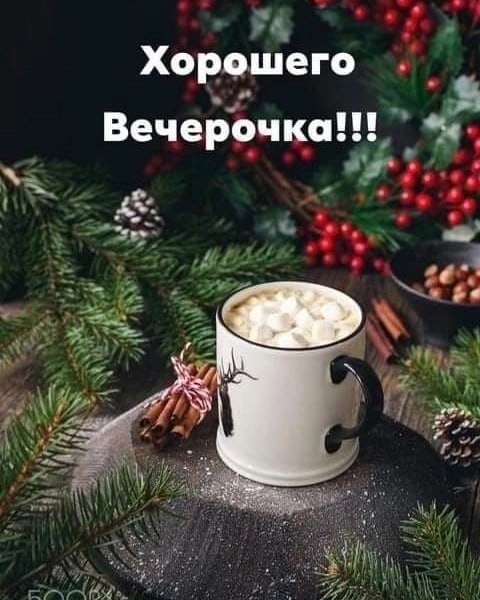  ,    . - 6  2022  16:37