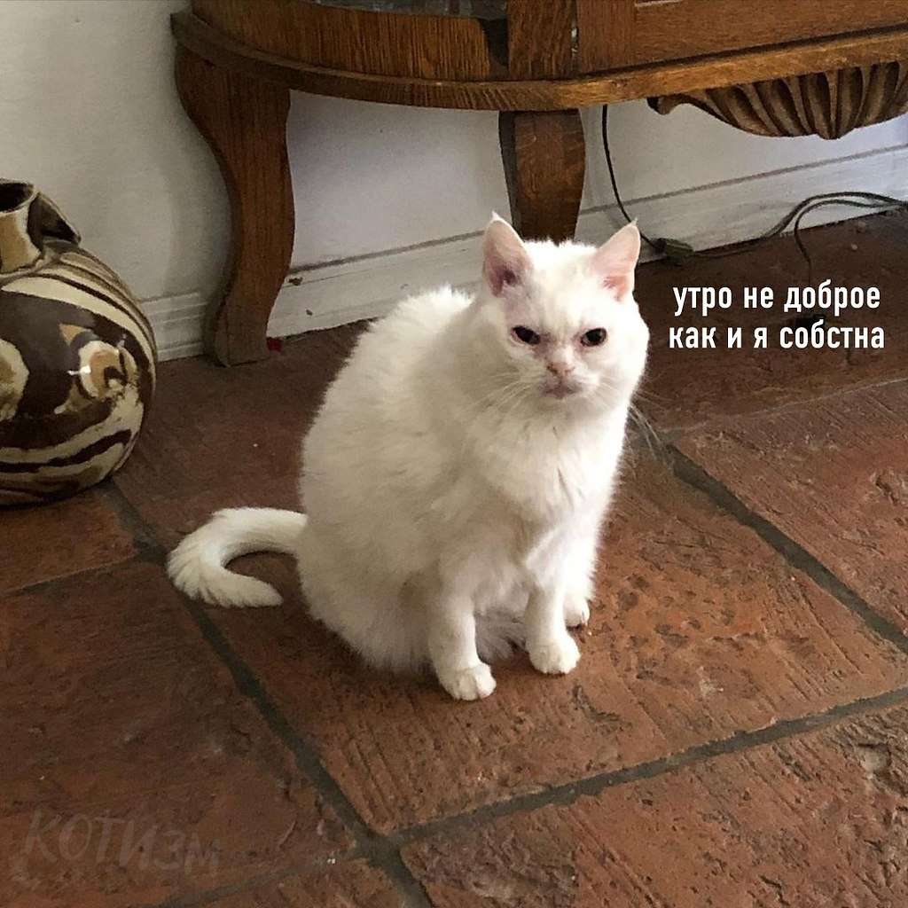   ! 