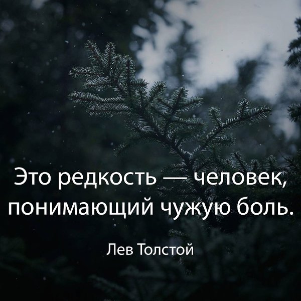 Филocoфия | Пcиxoлoгия | Cаморазвитие