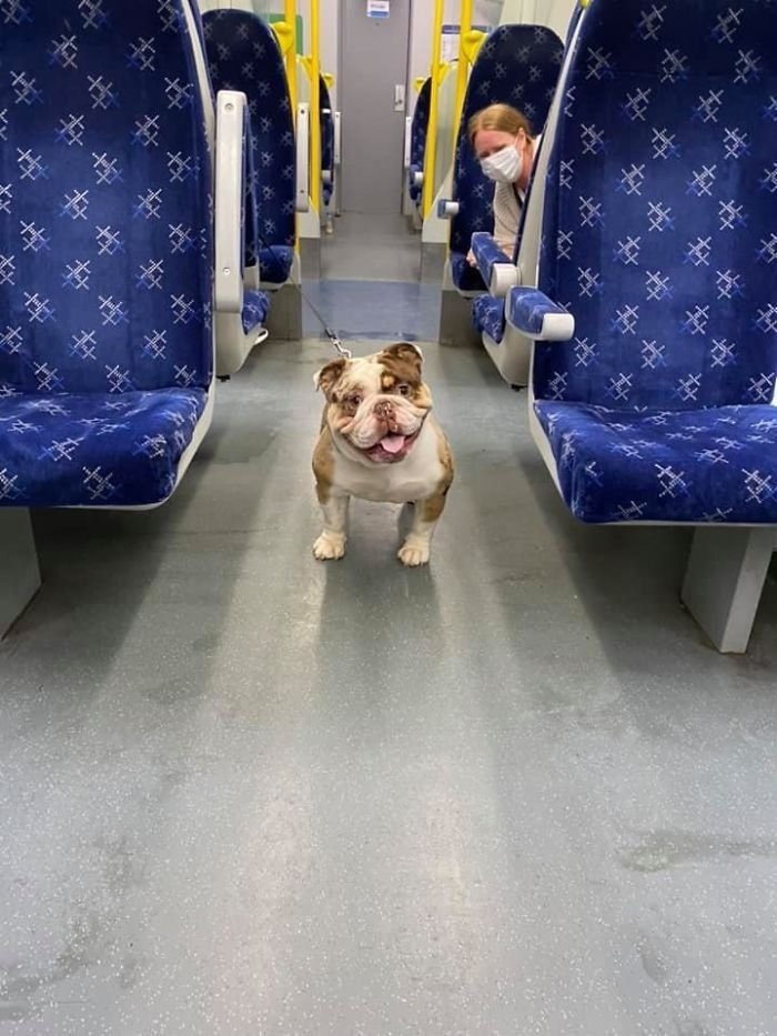   .    