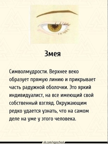 Определяем характер человека по форме глаз. Интересно, есть ли совпадения - 5
