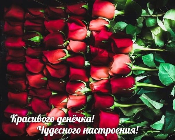   ,    . - 27  2021  07:06 - 2