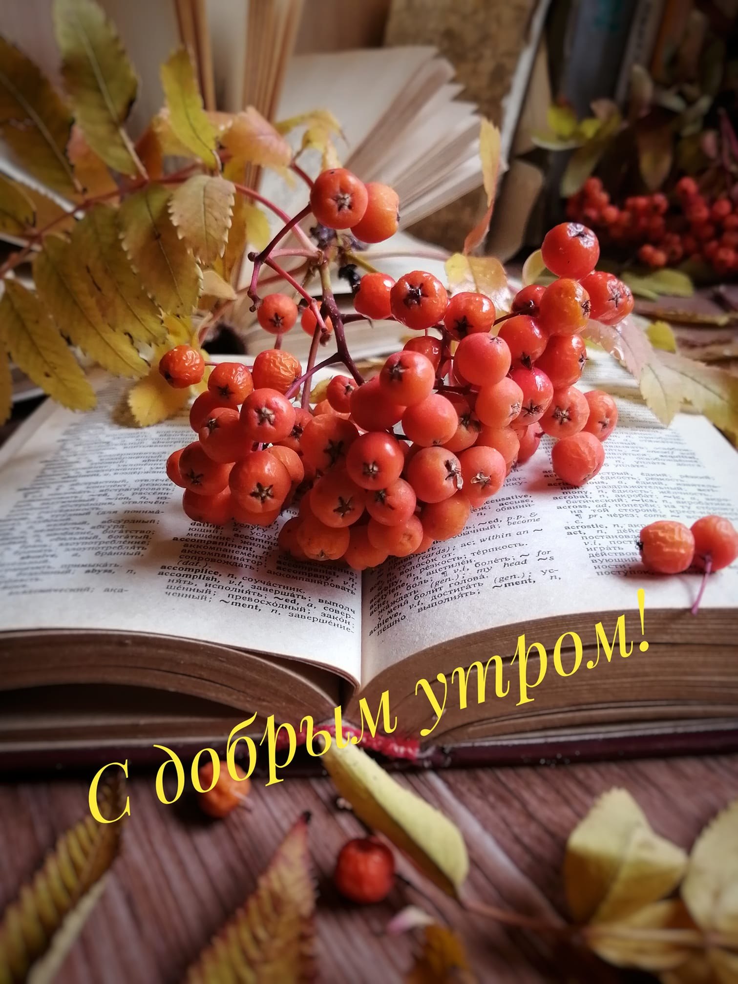  ! - 5  2021  09:15
