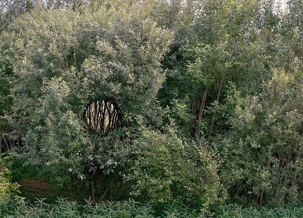 Инсталляцию Broken Landscape IV финский художник Антти Лайтинена создал на хуторе Мааяам в Валгамаа ...