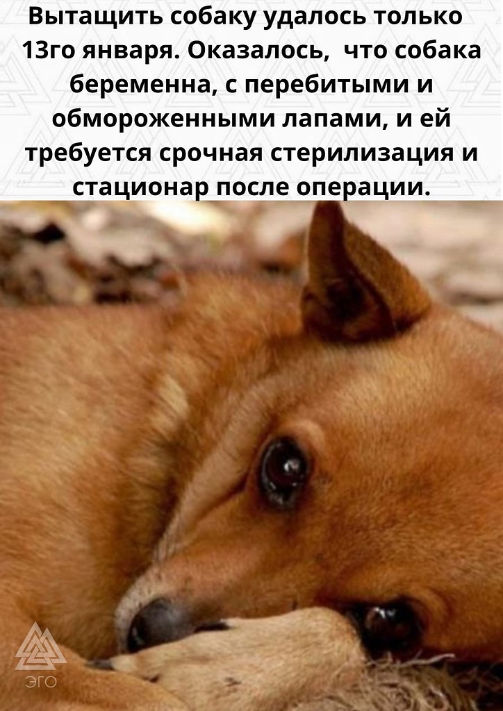    ,   !    - 3