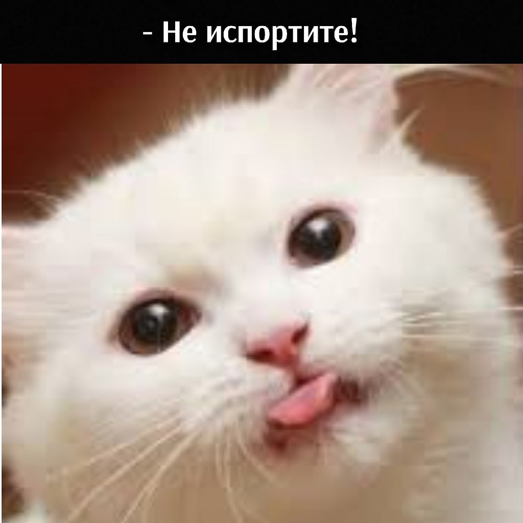       - 17  2021  11:18 - 4