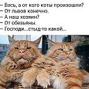  , -, 63  -  8  2022    