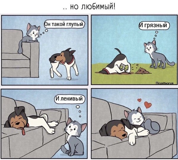    ,   ..