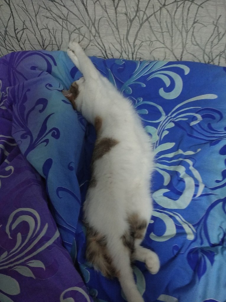  ,  !!! - 2