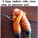  ,  -  28  2021