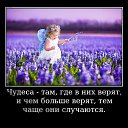 ���� ������, �����-���������, 54 ���� - ��������� 14 ��� 2021 � ������ ������ ��������