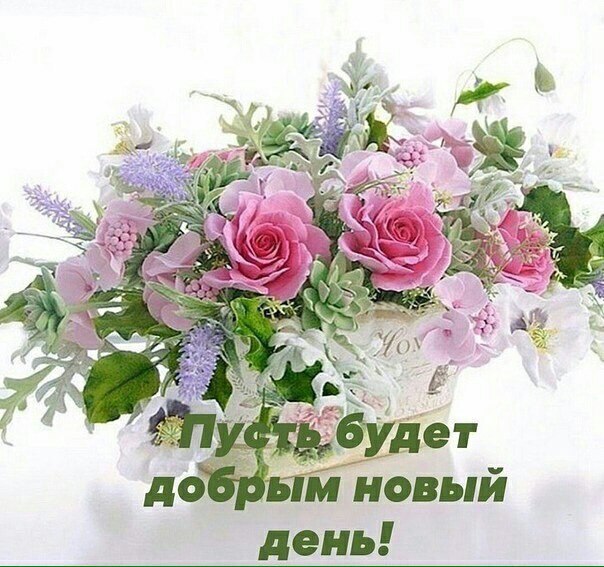   ,    . - 28  2021  12:34 - 2