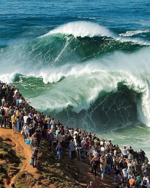 W�RLD.�ce o �����ec���������� ��� ����� � ����������