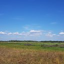 ���� ������, �����������, 52 ���� - ��������� 9 �������� 2021 � ������ ���� ����������