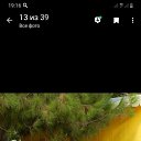 ���� �����, �������, 48 ��� - ��������� 19 ������� 2021 � ������ ���� ����������