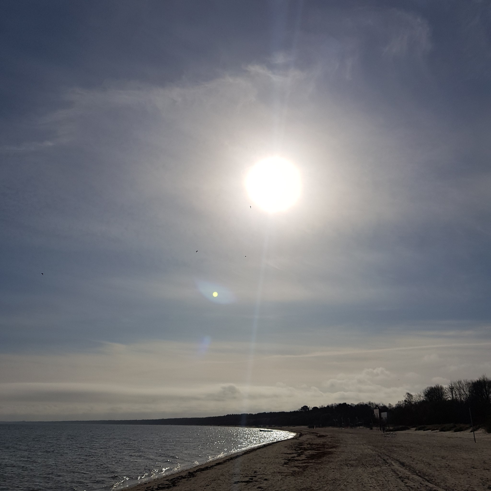 Eili - 1  2021  12:14