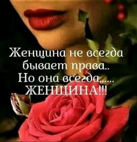   - 3  2021  23:53