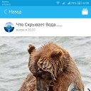 ���� ����, ���������� �����, 50 ��� - ��������� 7 ���� 2021 � ������ ���� ����������