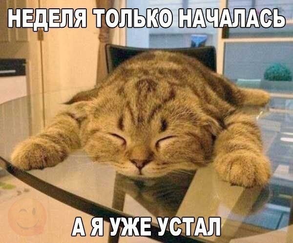    - 5  2021  18:25