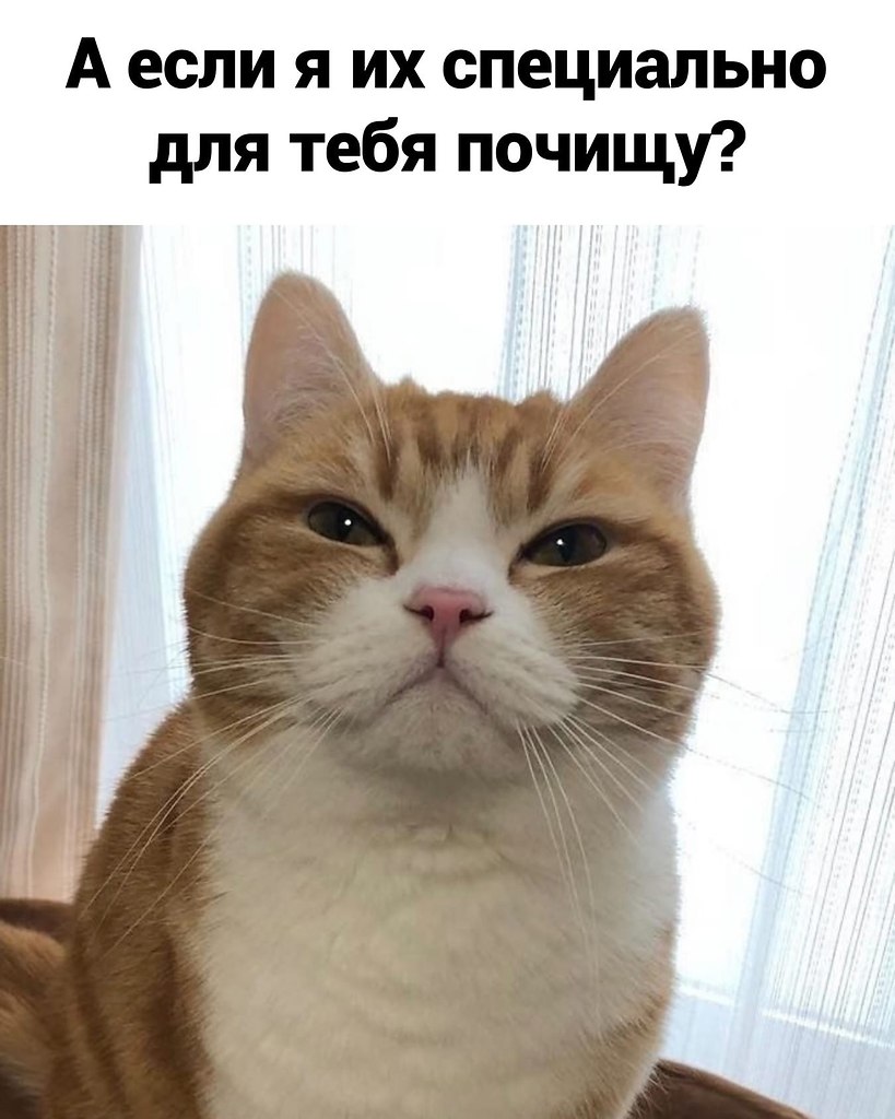   -   . - 3