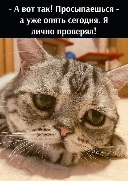       - 12  2022  10:33 - 3