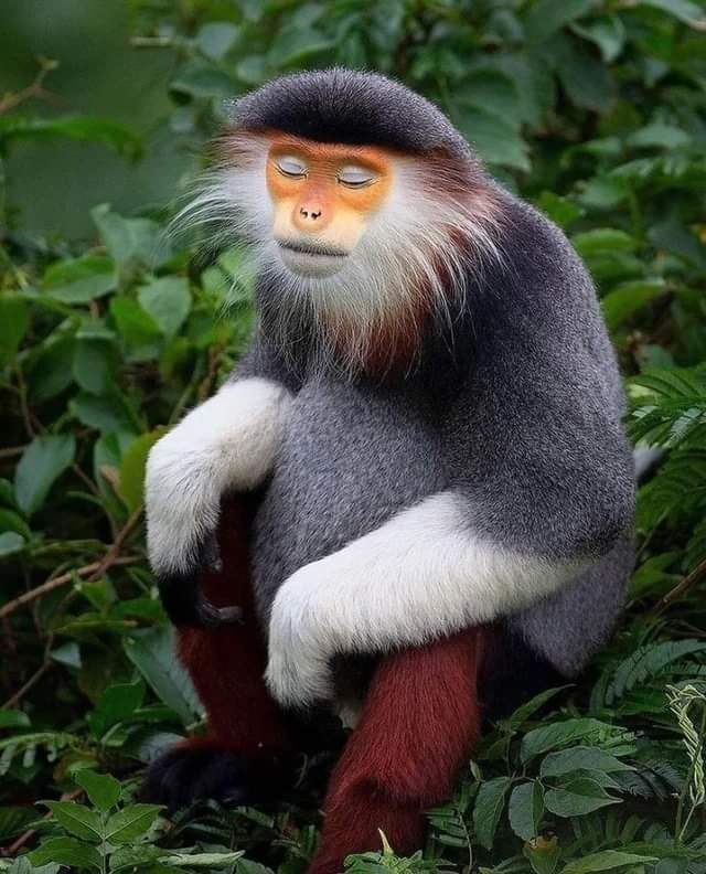     ,   -  !