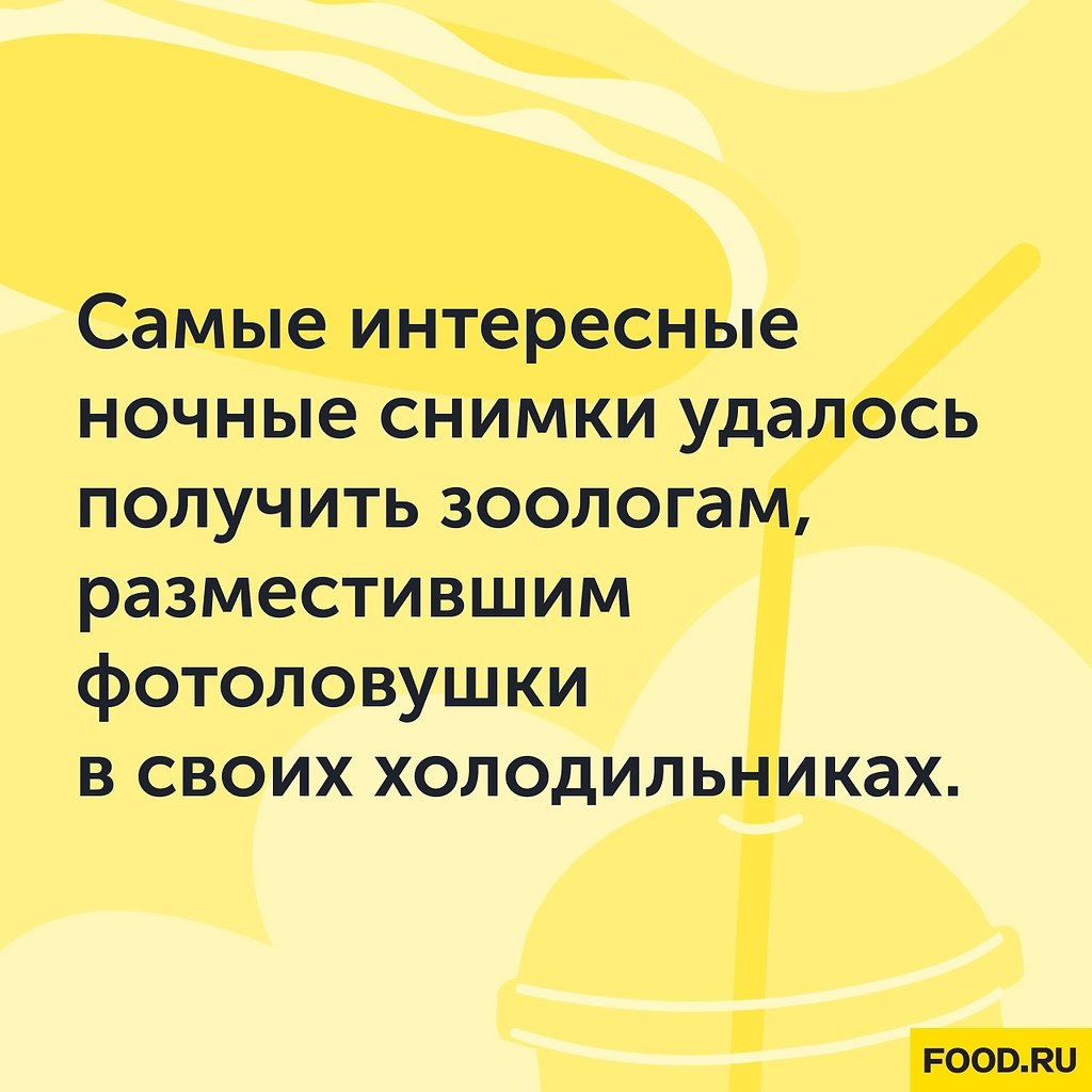 #@foodrumedia
