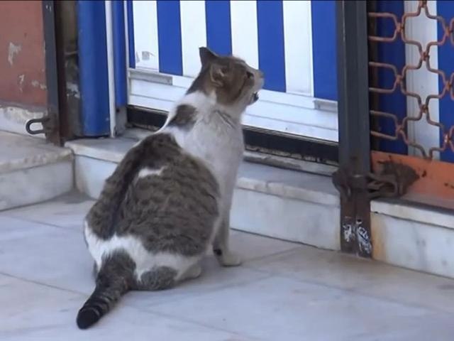           ,     ...