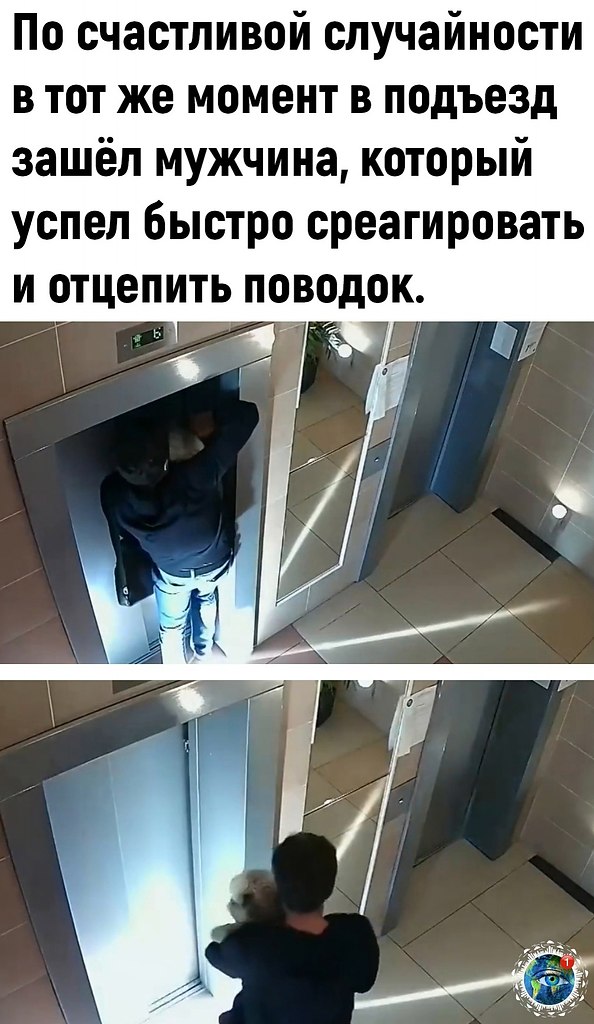 eoop  o oep oaco. - 3