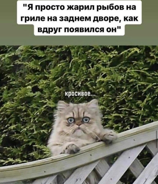  - 24  2021  09:31