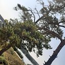 ���� ˸��, ����������� - ��������� 6 �������� 2021 � ������ ���� ����������