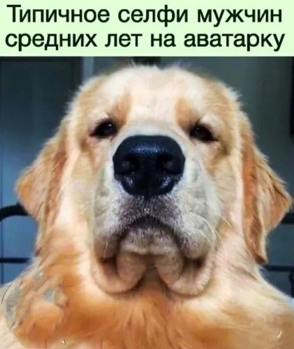   ! - 1  2021  17:37