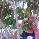 ���� �������, ������, 71 ��� - ��������� 31 ��� 2021 � ������ ���� ����������