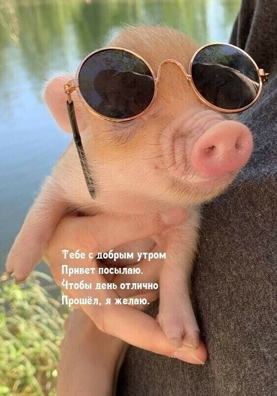 ***Victoria Viktorovna*** - 8  2021  04:48