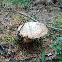 21.07.2021.�.�����,������,������ �������� � ���� ����.))) �� ������� ���� ����������