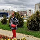 ���� ������, ��������, 72 ���� - ��������� 12 ������� 2021 � ������ ���� ����������