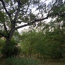 ���� �......., �������, 45 ��� - ��������� 24 ���� 2021