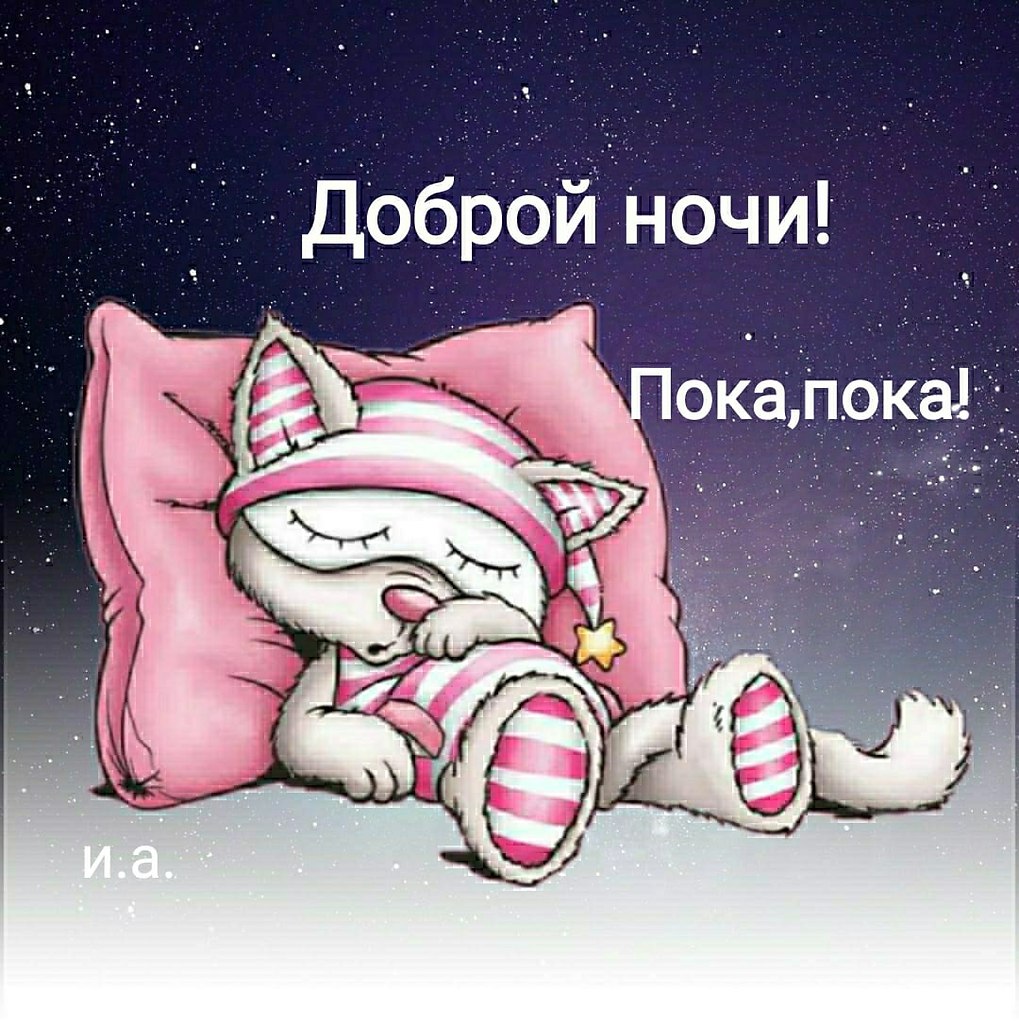   ,    . - 24  2021  21:56 - 3