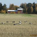 ���� ��� �� ��� �������... �� ������� ������