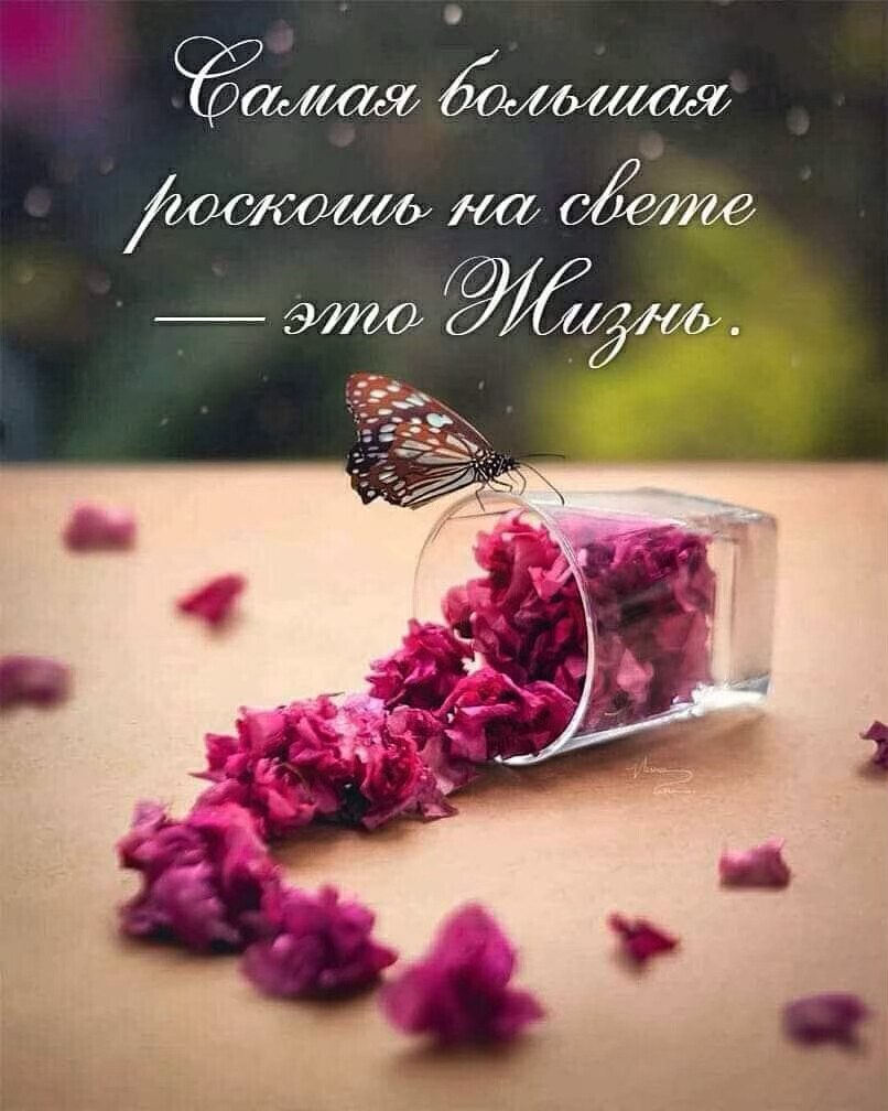 ***Victoria Viktorovna*** - 16 ���� 2021 � 05:42