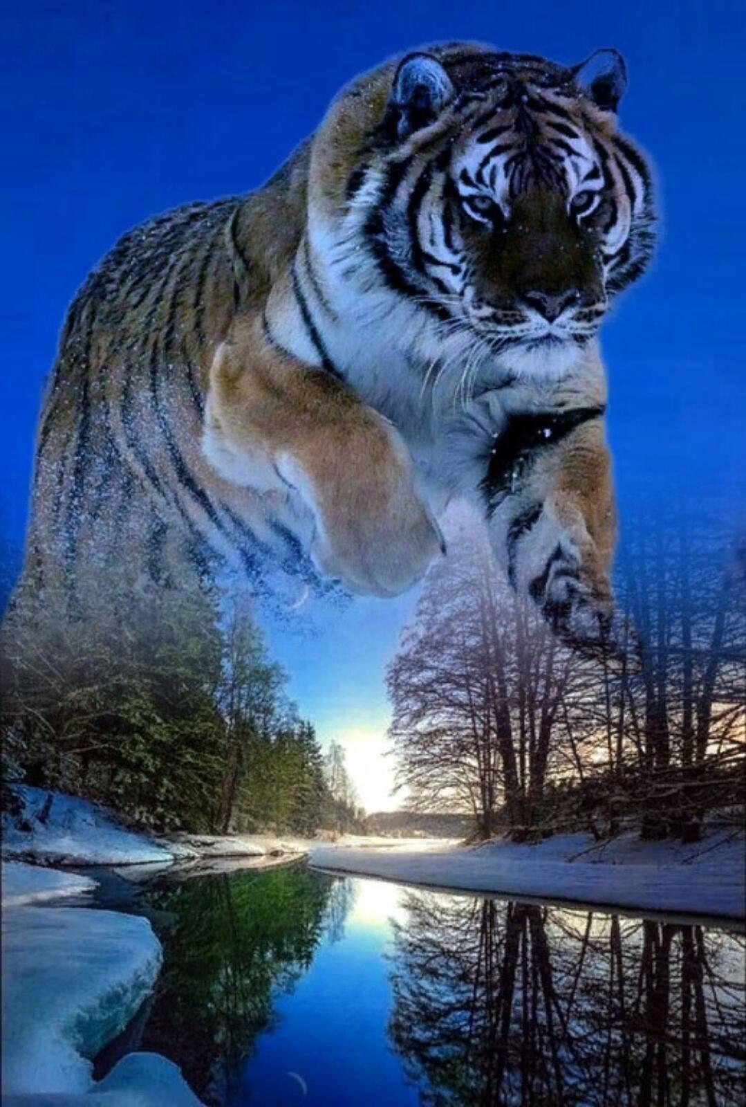  - 11  2021  08:23