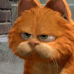 �����, ������, 31 ���